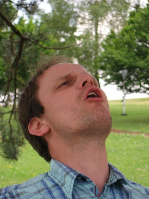 2010 hartheim 20141020